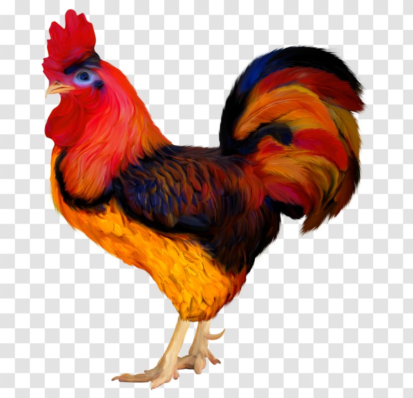 Chicken Rooster Clip Art Bird - Poultry Transparent PNG