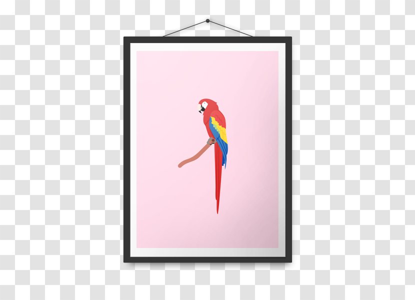 Macaw Parrot Beak Penguin Visual Arts - Company Poster Transparent PNG