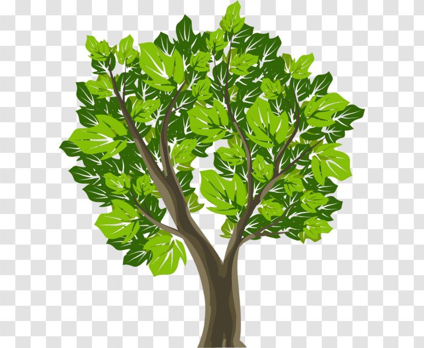 Tree Symbol Graphic Design - Logo Transparent PNG