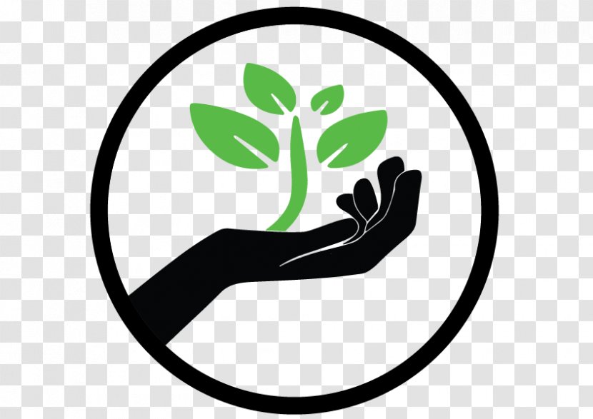 Plant The Seed Education Organization Logo - Area - Seeds Transparent PNG