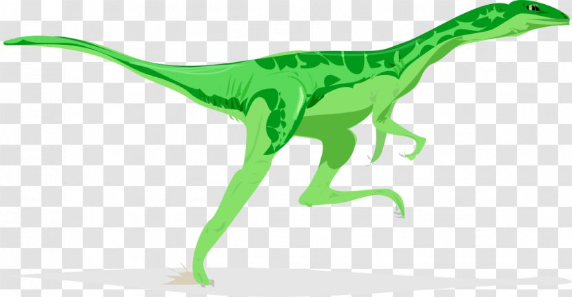 Velociraptor Stegosaurus Triceratops Tyrannosaurus Dinosaur - Dragon Pictures Art Transparent PNG