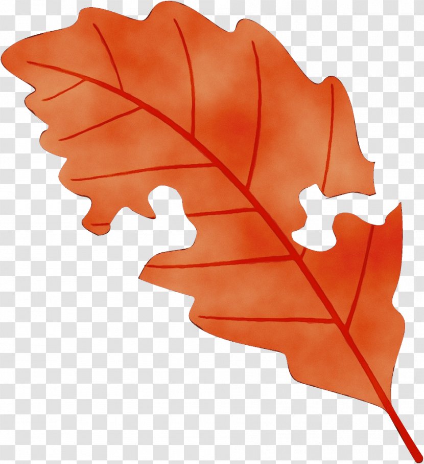 Maple Leaf - Black - Deciduous Plane Transparent PNG