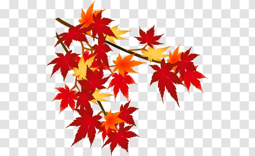 Autumn Leaf Color Mount Akagi Season Transparent PNG