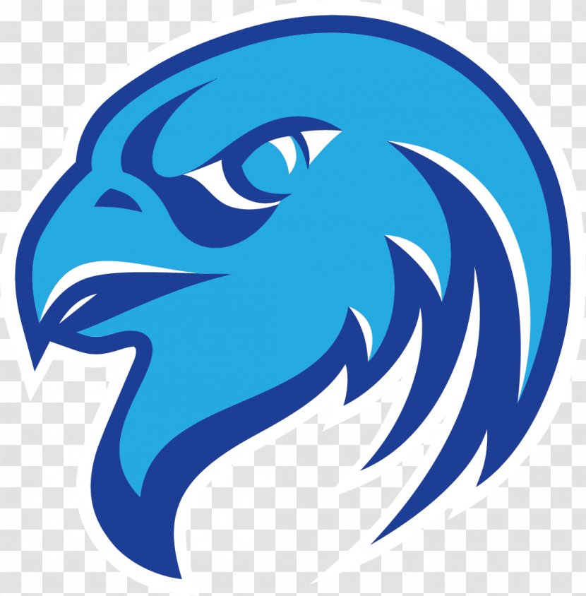 Atlanta Falcons Logo - Falcon Transparent PNG