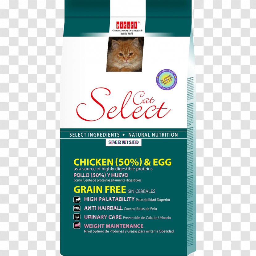 .cat Kitten Aliment Composé Food - Cat Transparent PNG