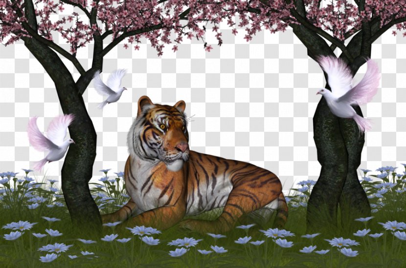 Tiger Wallpaper - Cat Like Mammal - Jungle King Transparent PNG