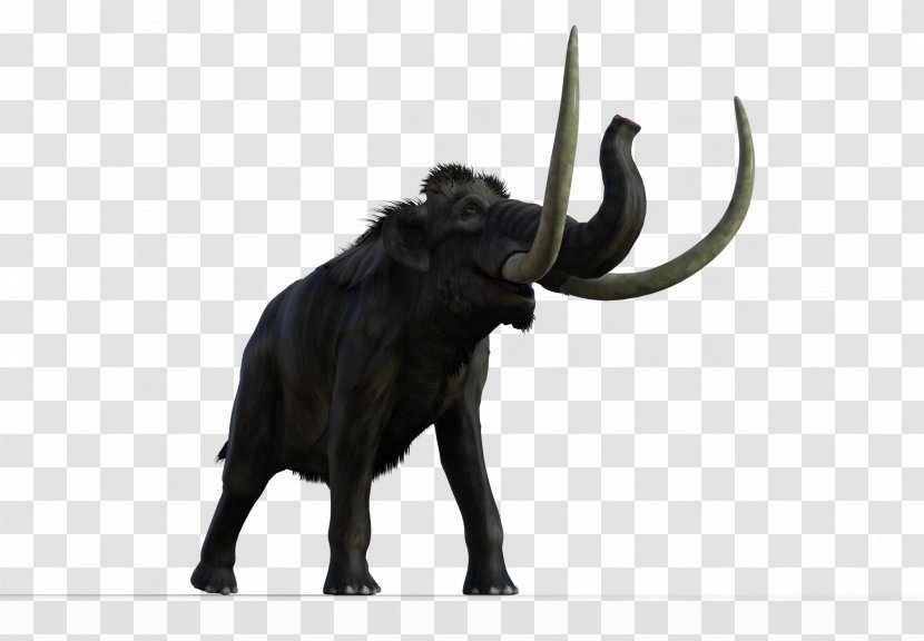 Indian Elephant African Cattle Mammoth Lakes Bull - Woolly Transparent PNG