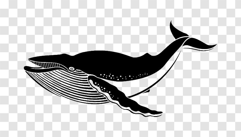 Wall Decal Sticker Blue Whale - Mammal Transparent PNG