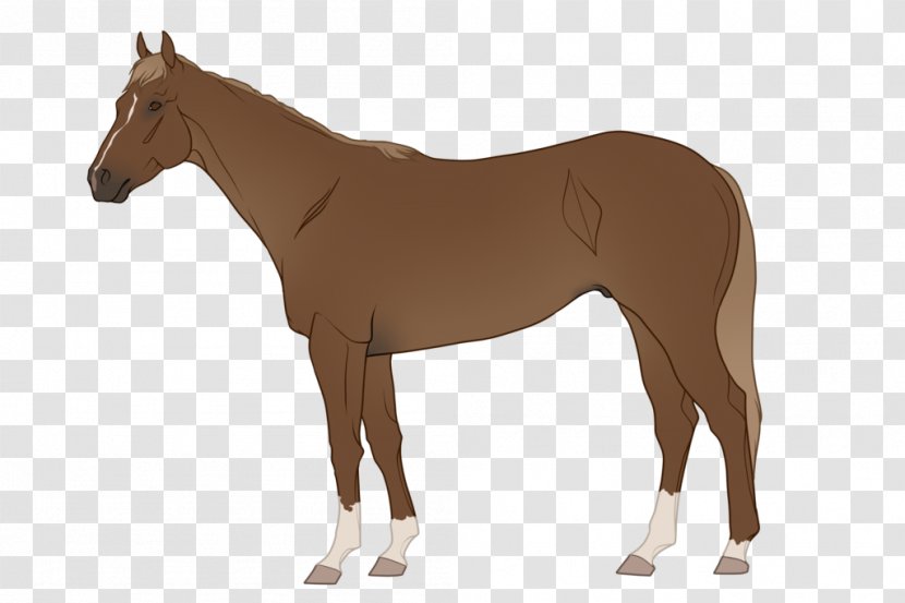 American Quarter Horse Pony Paint Thoroughbred Equine Coat Color - Mammal - Aces Infographic Transparent PNG