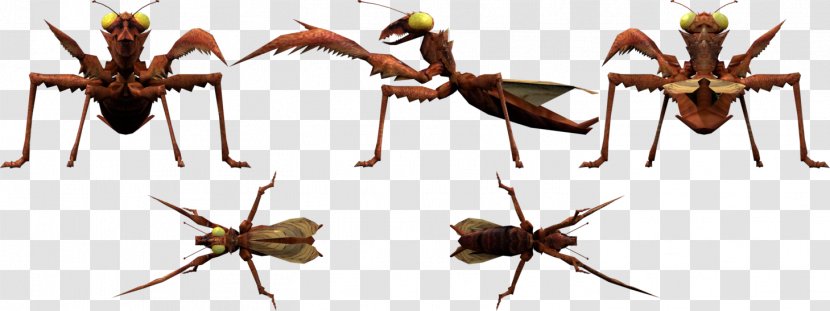 Ant Kamacuras Godzilla Minilla Manda - Invertebrate Transparent PNG
