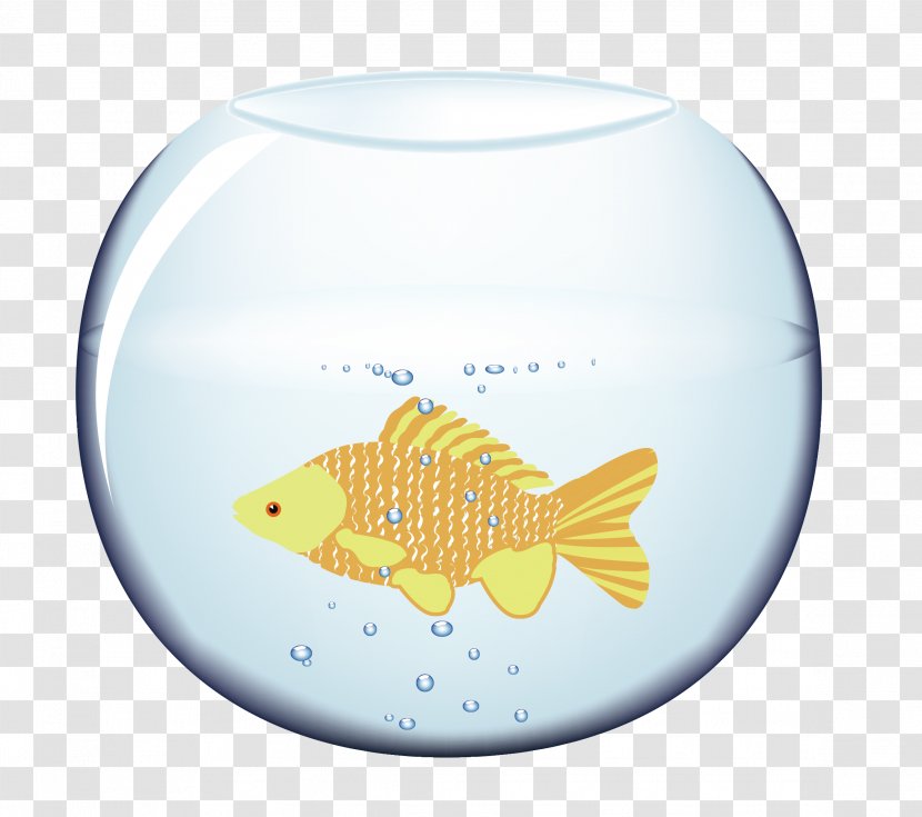 Fish Blue Orange Aquarium - Resource Transparent PNG