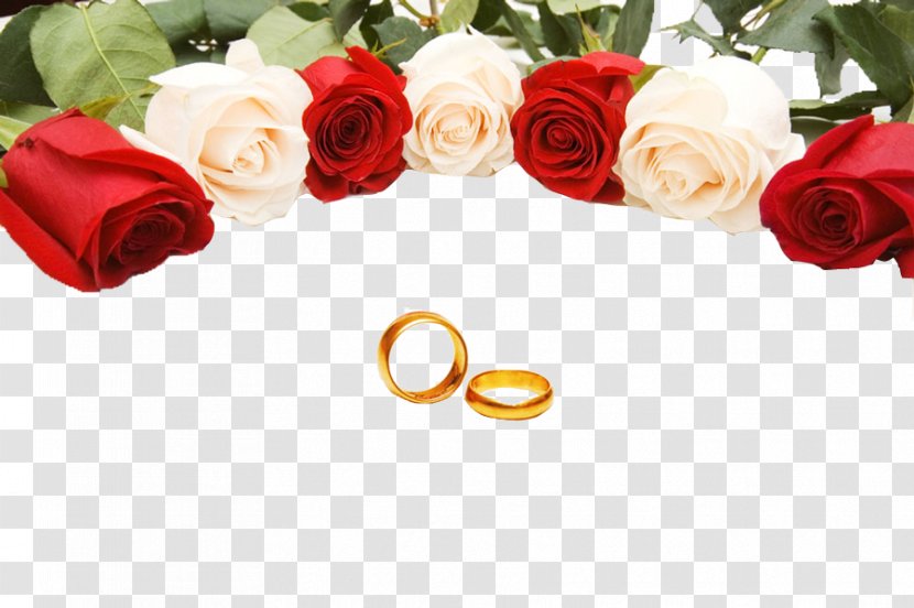Wedding Ring Rose Stock Photography - Valentines Day - Rings Transparent PNG
