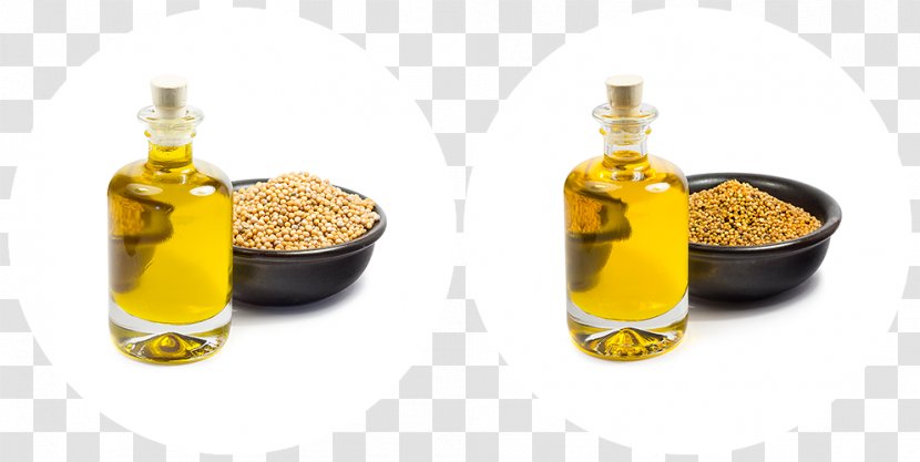 Seed Oil Mahua Rapeseed Mustard - Brassica Juncea Transparent PNG