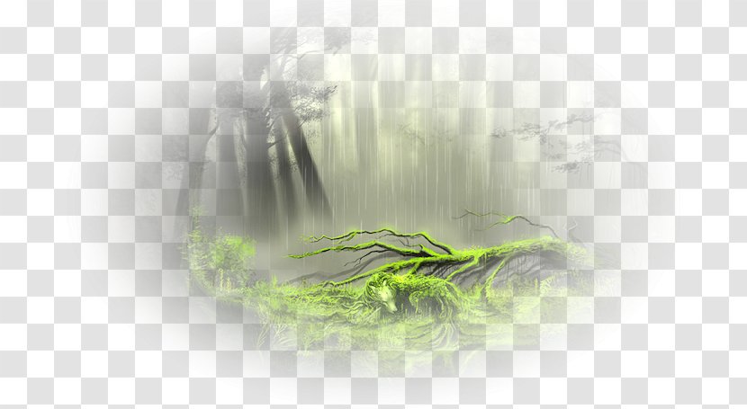 Leaf Desktop Wallpaper Close-up Computer - Plant Transparent PNG