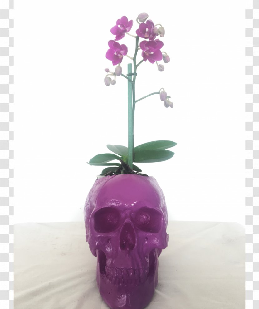 Moth Orchids Vase Artificial Flower Transparent PNG