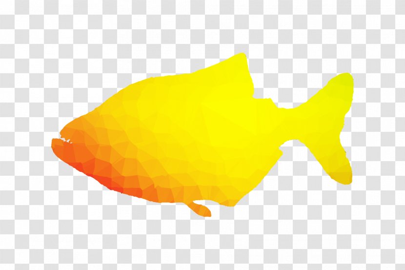 Marine Biology Product Design - Butterflyfish - Fish Transparent PNG