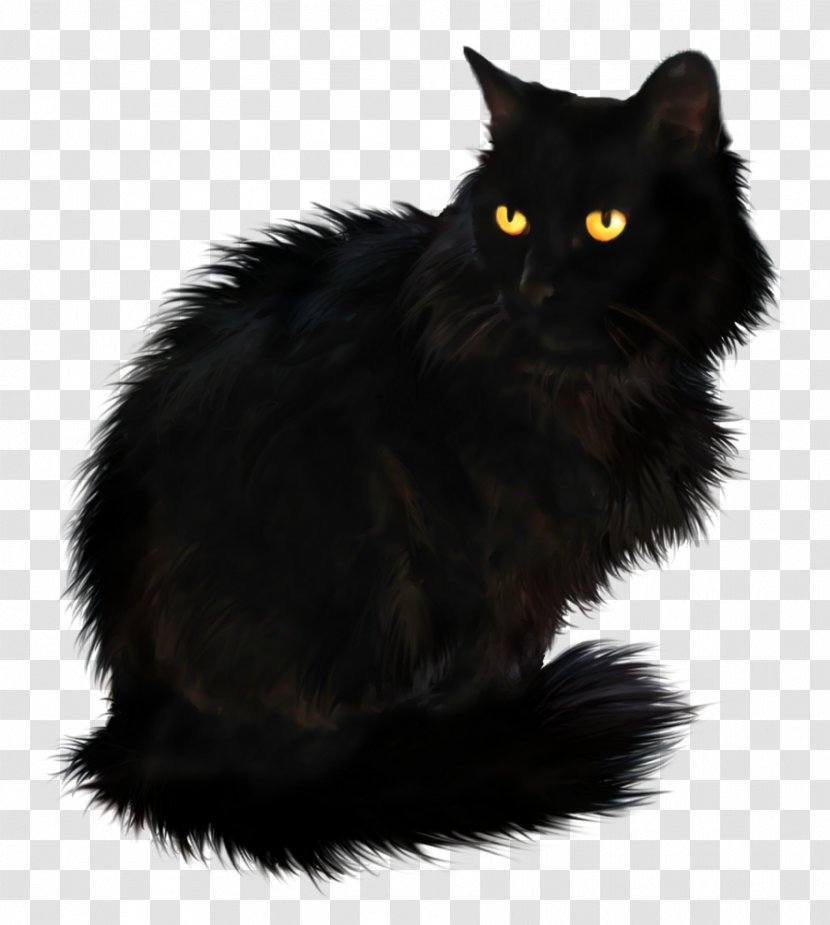 Persian Cat British Longhair Kitten Black - Rendering - Long-haired Transparent PNG