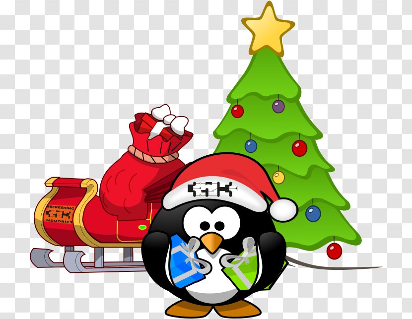 Christmas Penguin Drawing - Decoration - Pine Family Conifer Transparent PNG