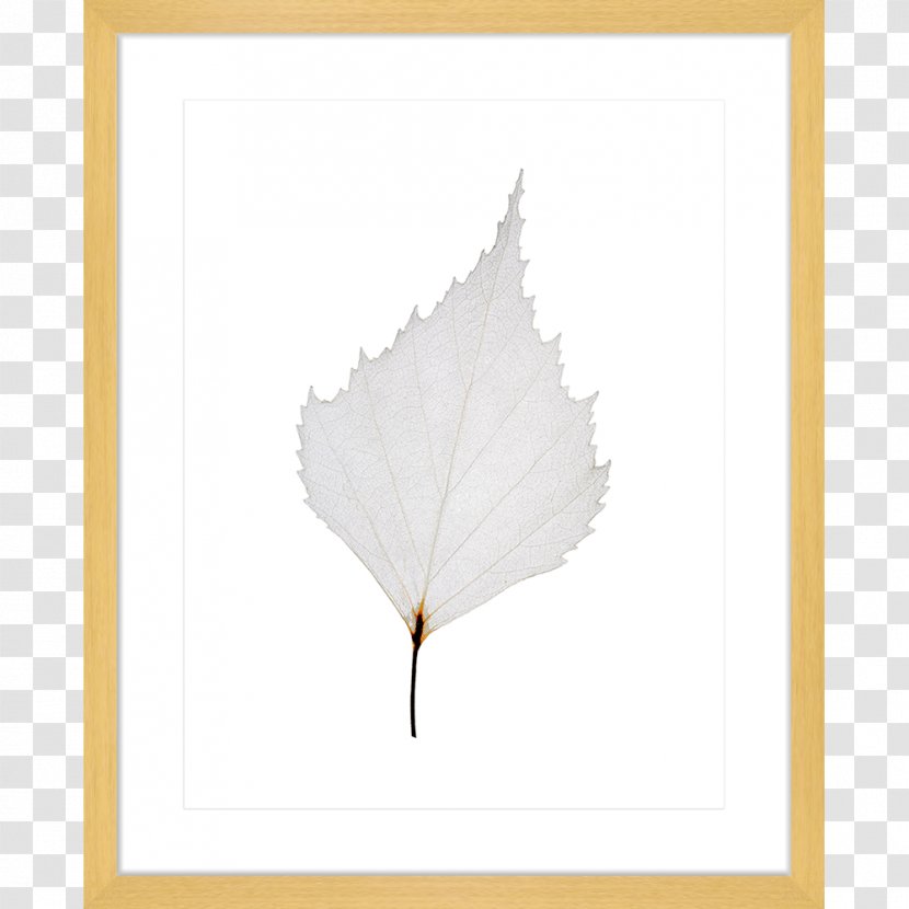 Maple Leaf Petal Angle - Leaves Collection Transparent PNG