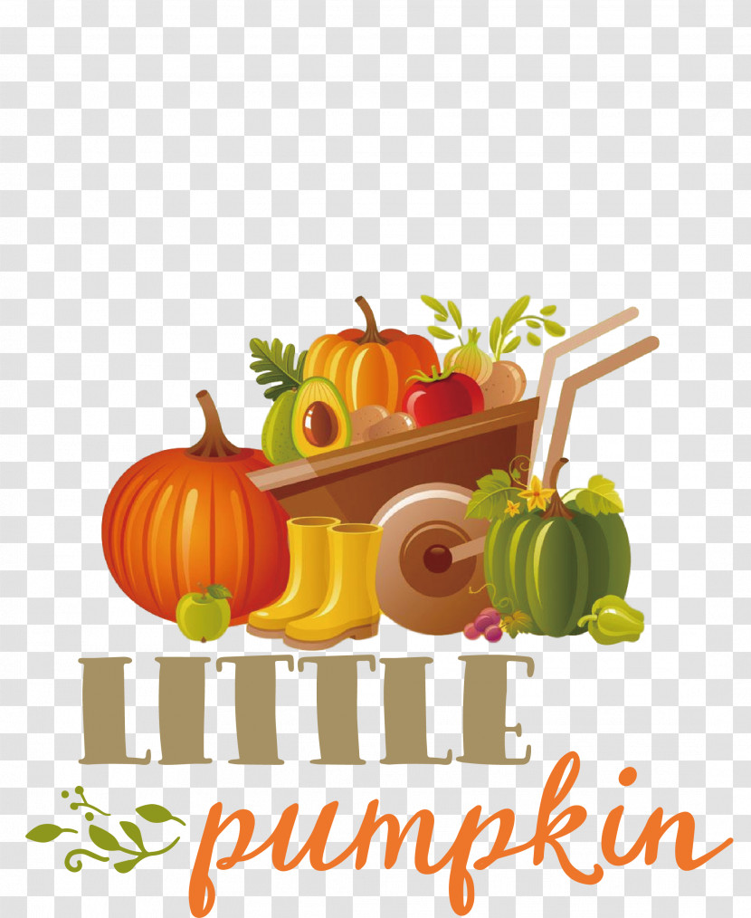 Little Pumpkin Thanksgiving Autumn Transparent PNG