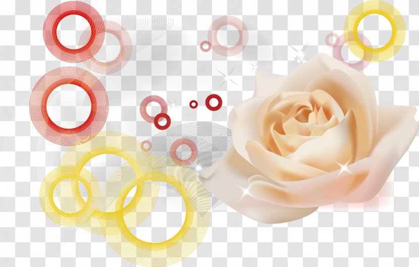 Beach Rose White Pink - Yellow - Roses Transparent PNG