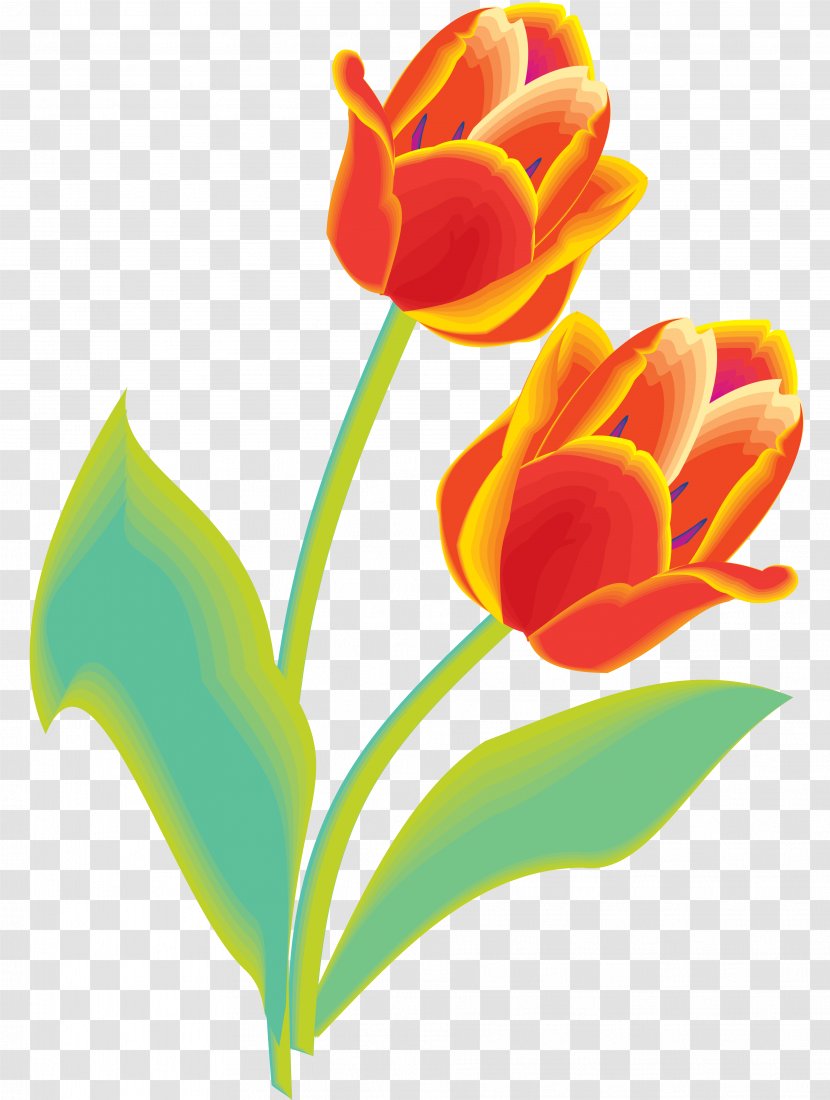 Tulip Cut Flowers Floral Design Clip Art - Seed Plant Transparent PNG