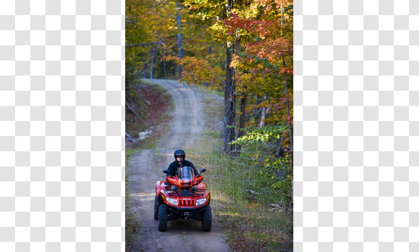 Car Water Resources Forest Feature Tree - Adventure Transparent PNG