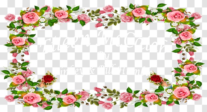 Garden Roses Stock Photography Floral Design Dreamstime Flower - Memorial Ranger Transparent PNG