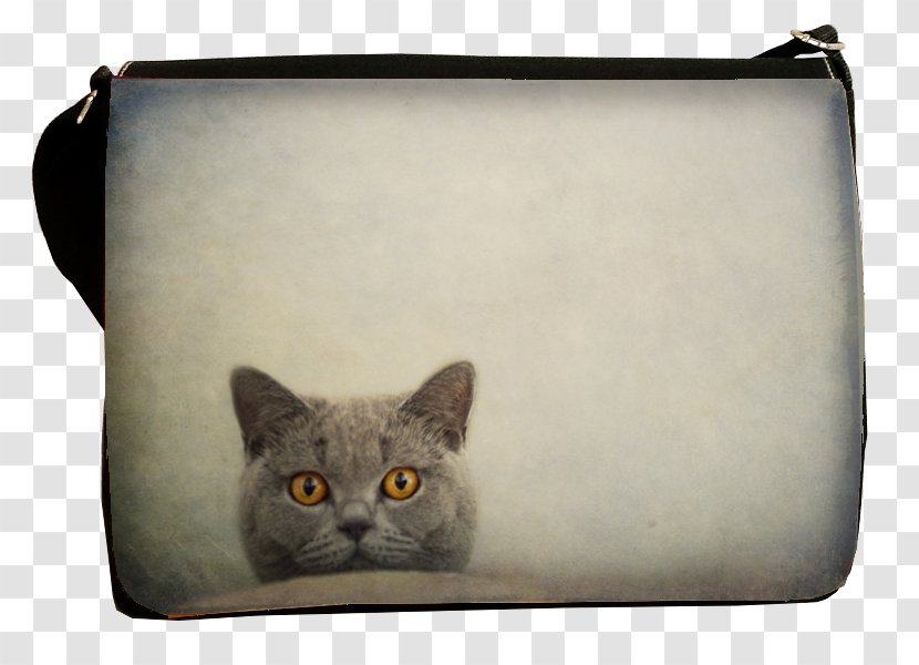 Korat Kitten Whiskers Domestic Short-haired Cat Handbag Transparent PNG