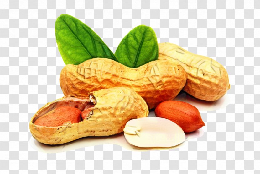 Fruit Cartoon - Superfood - Cuisine Nuts Seeds Transparent PNG