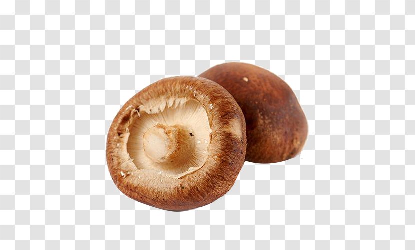 Shiitake Hot Pot Edible Mushroom Food Transparent PNG