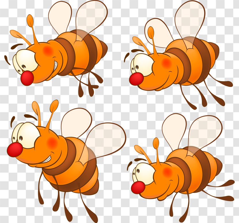 Insect Hornet Honey Bee Bumblebee Drawing - Membrane Winged Transparent PNG