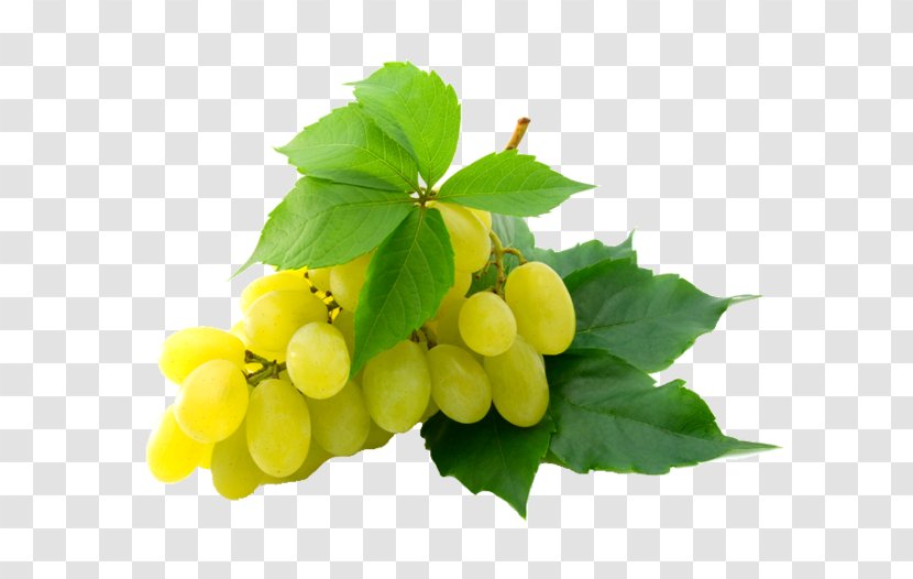 Kyoho Wine Grape Sultana Clip Art - Vitis Transparent PNG