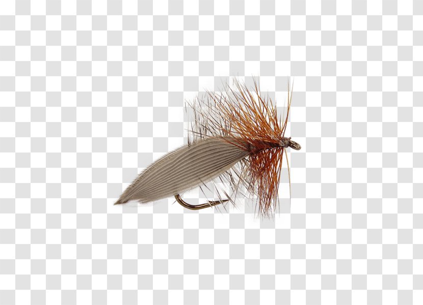 Insect Orvis Henryville Special Fishing Fly Lure Artificial - Soft Hackle Flies Transparent PNG