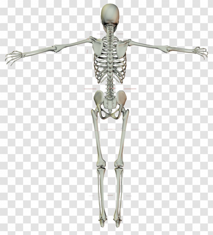 Human Skeleton Crucifix Cross - Figurine Transparent PNG