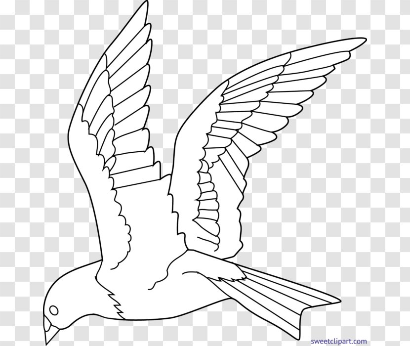 Bird Colouring Pages Coloring Book Flight Drawing Transparent PNG