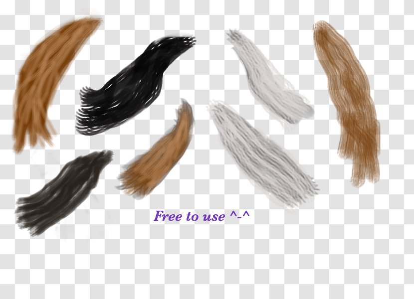 Tail - Horse Transparent PNG