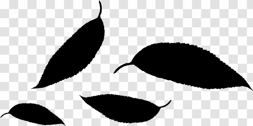 Nose Black & White - Leaf - M Clip Art Angle Transparent PNG