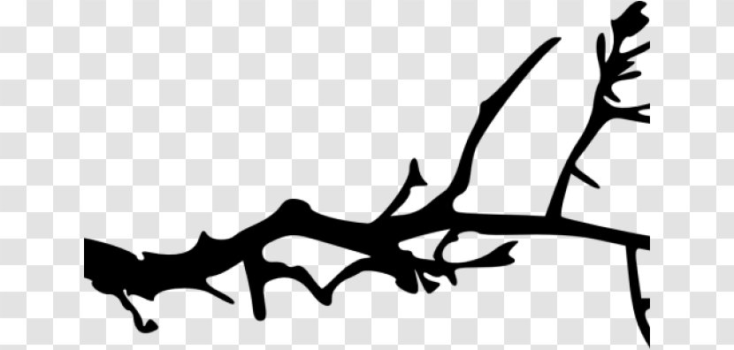 Tree Branch Silhouette - Woody Plant - Line Art Transparent PNG