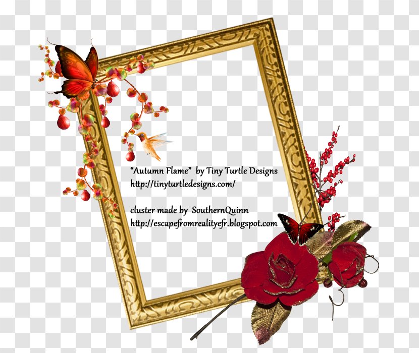 Picture Frames Floral Design Cut Flowers - Flora - Flame Border Transparent PNG