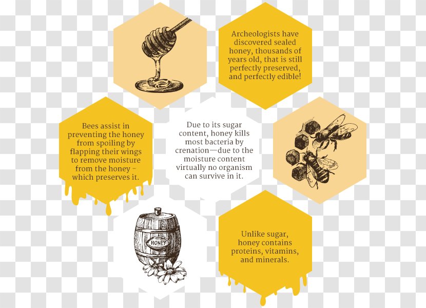 Honey Bee Mānuka Organic Food - Spoon Transparent PNG