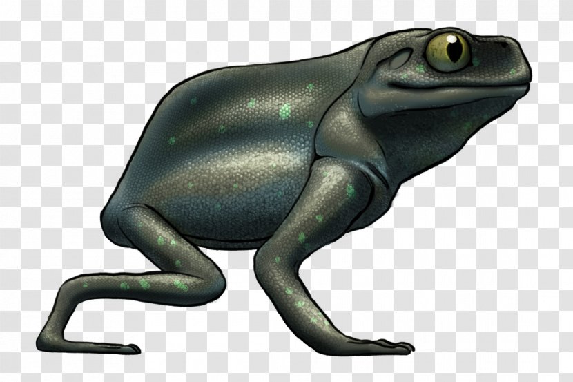 Toad Tree Frog True Frogget - Body Plan Transparent PNG