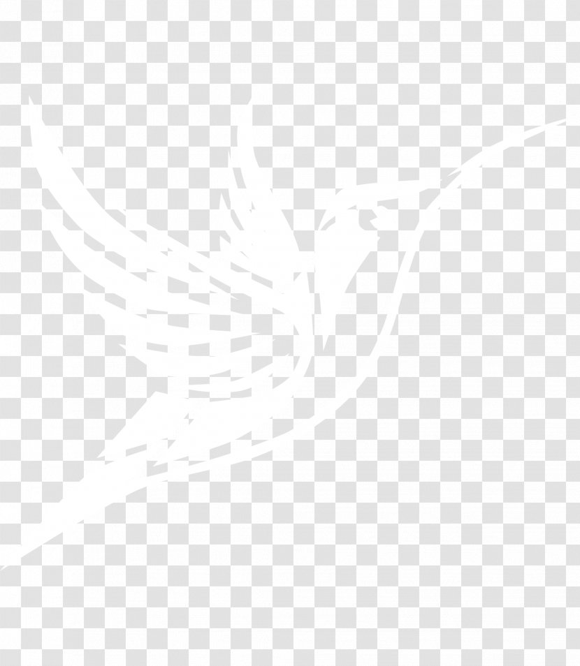 United States Logo Manly Warringah Sea Eagles Lyft Organization - Rectangle Transparent PNG