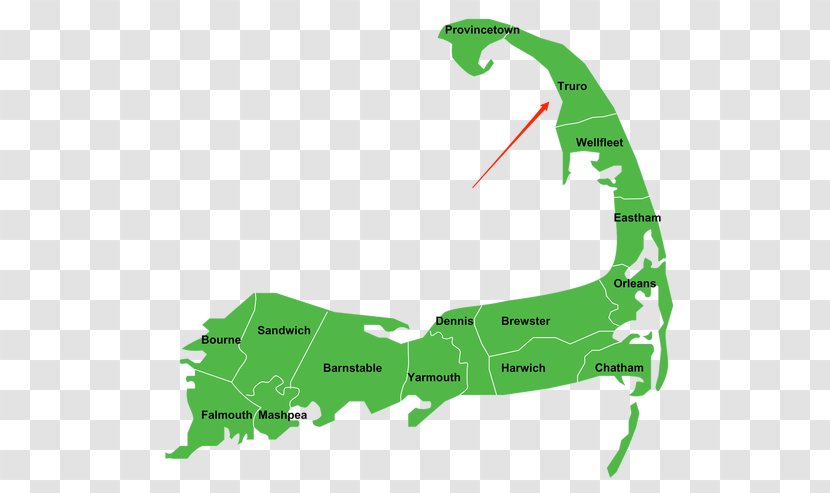 Harwich Falmouth Cape Cod Lane Chatham - Organism - Green Transparent PNG