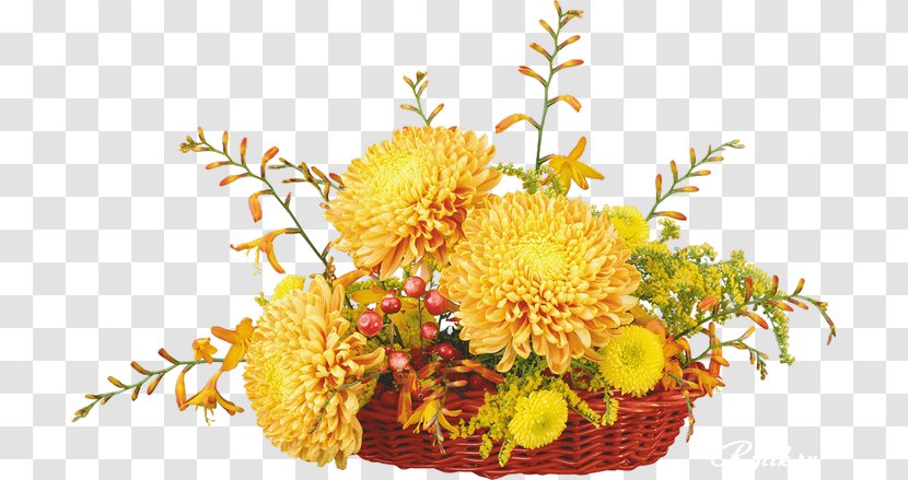 Chrysanthemum Cut Flowers Floristry - Plant Transparent PNG