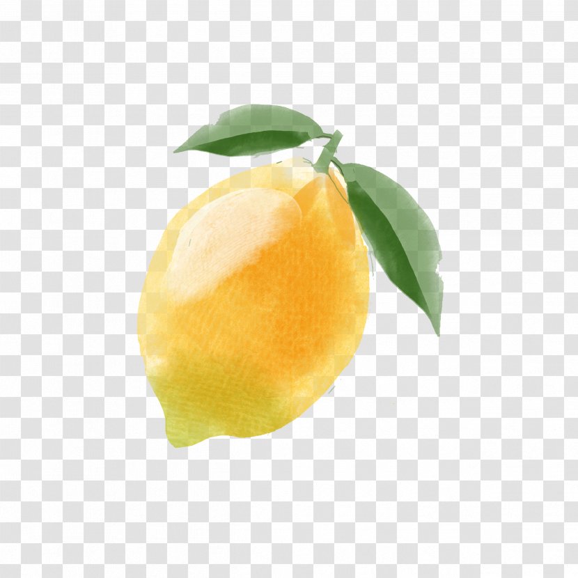 Lemon Citron Citrus Junos Yellow - Hand-painted Transparent PNG