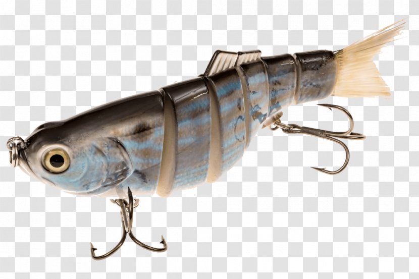 Sardine Spoon Lure Oily Fish Mackerel Perch - Fishing Bait Transparent PNG