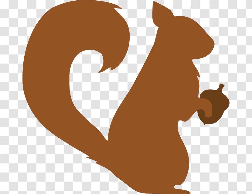 Cat Desktop Wallpaper Image Squirrel Photograph - Rodent Transparent PNG