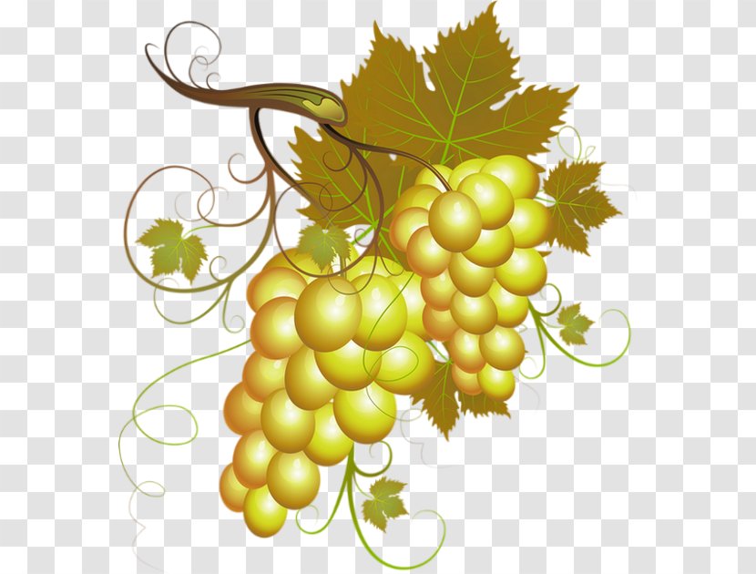 White Wine Pinot Noir Clip Art Grape - Natural Foods Transparent PNG