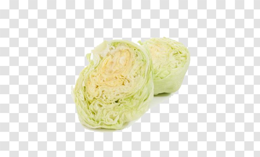 Cabbage Organic Food Vegetable - Watercolor Transparent PNG
